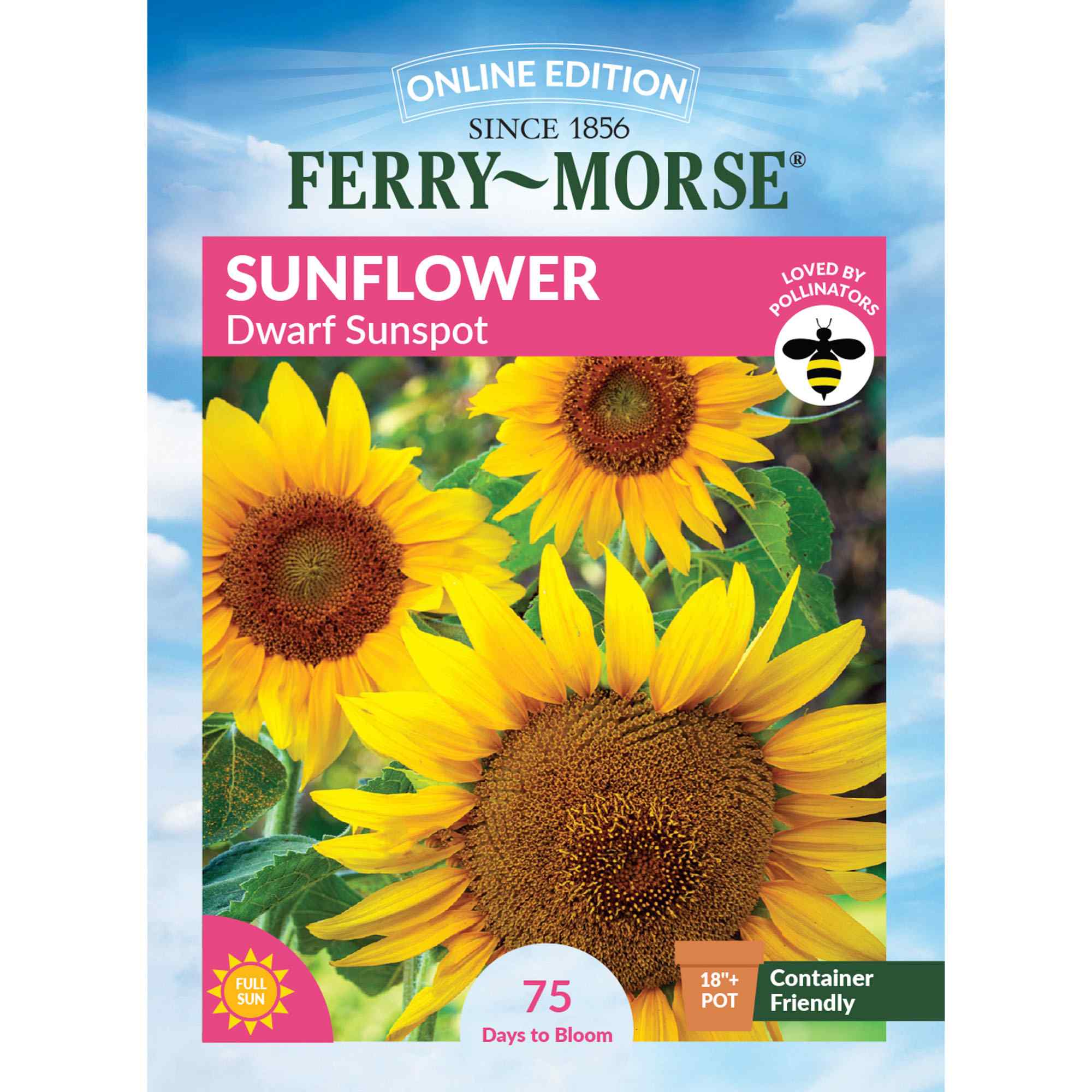 Sunflower dwarf sunspot front of packaging